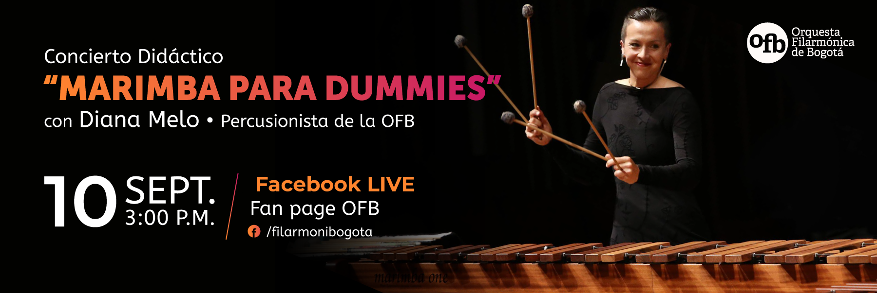 MARIMBA PARA DUMMIES