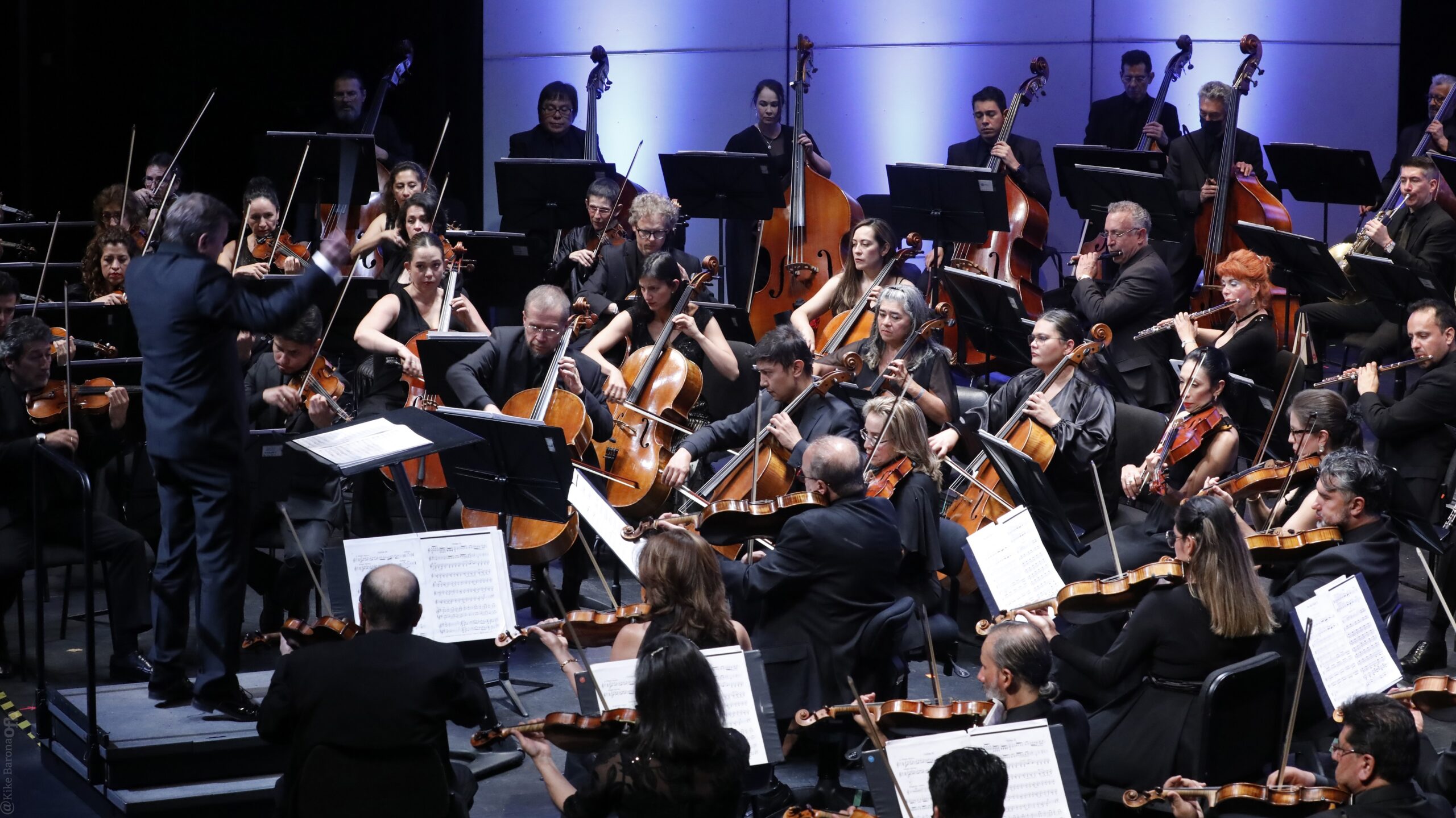 Músicos interpretando diferentes instrumentos