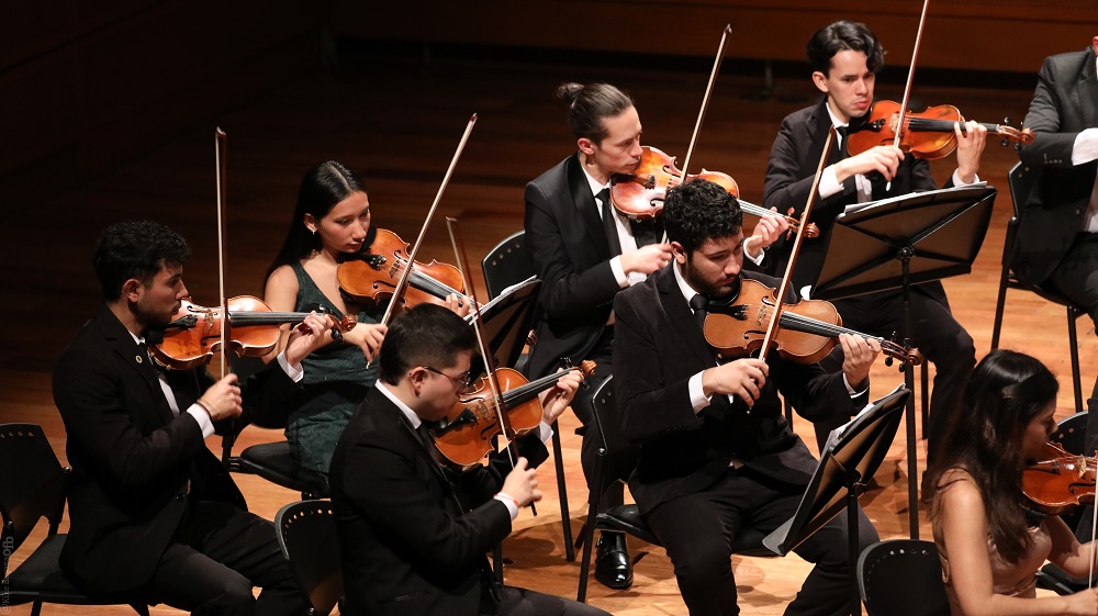 Músicos en concierto interpretando instrumentos